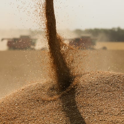 China says it is fully open to Russian wheat imports, in the latest sign of their strengthening bilateral ties amid the Ukraine crisis. Photo: Bloomberg