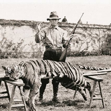 An image from the American Museum Journal of January 1919 of missionary Harry Caldwell with a South China tiger killed with one shot from his rifle. He knew more than anybody about the subspecies. Photo: courtesy of Harry R Caldwell