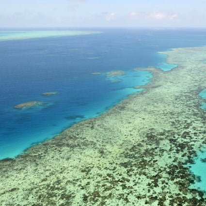 Aerial photos of the Great Barrier Reef in Australia which is suffering from coral bleaching. Photo: Kyodo News via AP