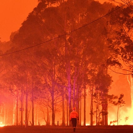 A firefighter walks past burning trees during a battle against bush fires in Nowra, Australia’s New South Wales state. File photo: AFP