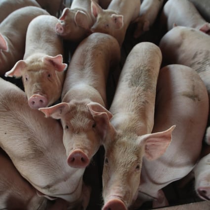 WH Group, the world’s largest pork producer, reported higher sales last year. Photo: Getty Images
