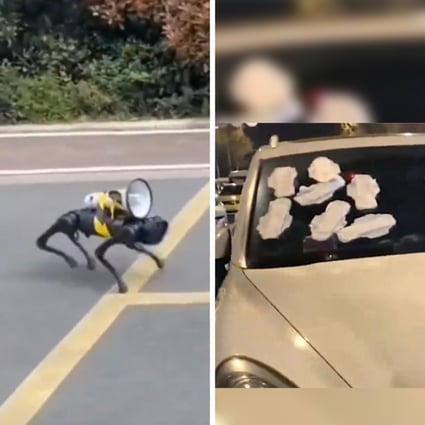 A robotic dog with a loudspeaker patrols Shanghai (left) and a bad parker is punished with sanitary pads (right). Photo: Weibo