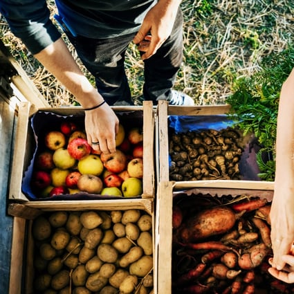 Hong Kong, with its relative lack of farmland relative to the size of its population, is a tough place to start a local food movement. Photo: Getty Images