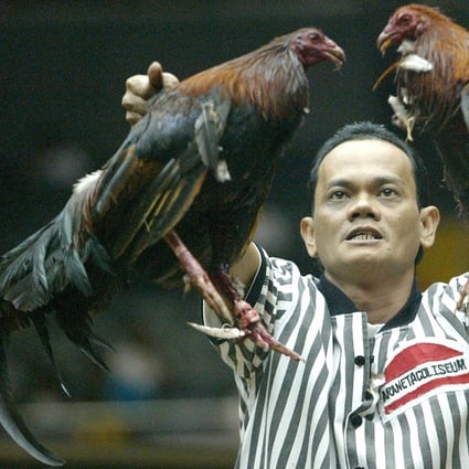 Philippines President Rodrigo Duterte Vows To Ban Online Cockfighting Known As E Sabong South China Morning Post Philippines President Rodrigo Duterte Vows To Ban Online Cockfighting Known As E Sabong South China Morning Post