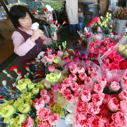 Carnations are prepared for shipment in the northeastern Japanese city of Natori ahead of Mother’s Day in 2017. Photo: Getty Images
