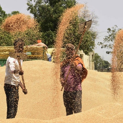 Workers separate grains of wheat from the husk at a wholesale market in Amritsar, India. Photo : AFP