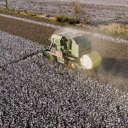 A cotton harvester works in a field in China’s Xinjiang region, where there have been allegations of forced labour. Photo: AP