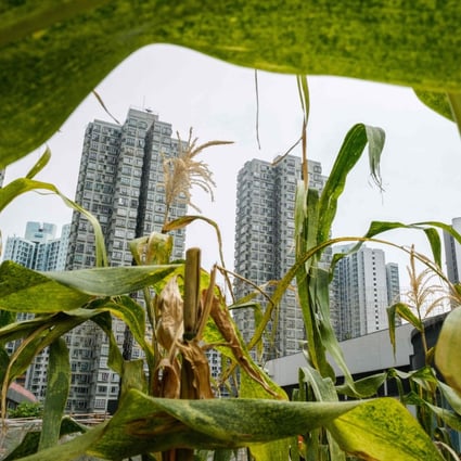 Residential buildings are seen beyond leaves of plants growing on a rooftop garden at the Metropole Plaza shopping mall in North Point, Hong Kong, on March 4, 2021. Photo: AFP