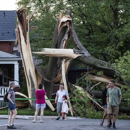 A tree that was destroyed during a major storm in Ottawa, Canada, on Saturday. Photo: AP