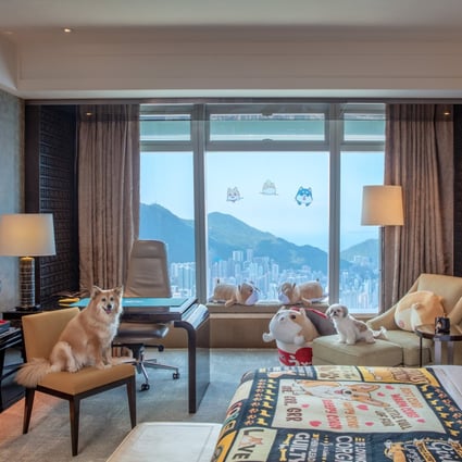 Hong Kong hotels are offering staycation packages for Hongkongers unwilling to travel overseas. Above: the Pawfect Stay in the puppy-styled theme room at the Ritz-Carlton, Hong Kong. Photo: The Ritz-Carlton Hong Kong