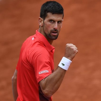 Novak Djokovic reacts after beating Diego Schwartzman in Paris. Photo: AFP