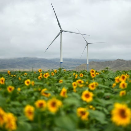 Wind turbines rise above a field of sunflowers in China’s Gansu province. More and more young people want to invest in climate change mitigation. Photo: Xinhua
