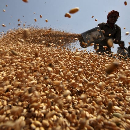 India has received requests for the supply of more than 1.5 million tonnes of wheat from several countries that need the staple to overcome shortages triggered by the invasion of Ukraine by Russia. Photo: Reuters