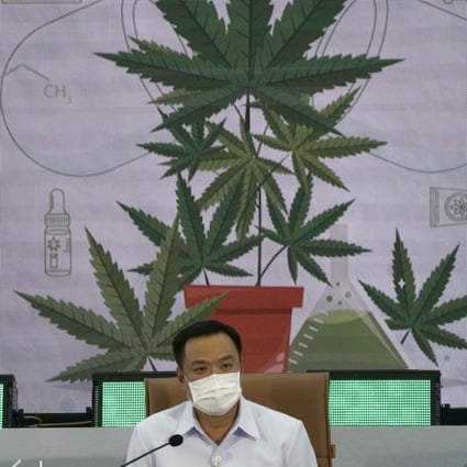 Thailand’s Public Health Minister Anutin Charnvirakul spearheaded the country’s drive to decriminalise cannabis. Photo: AP