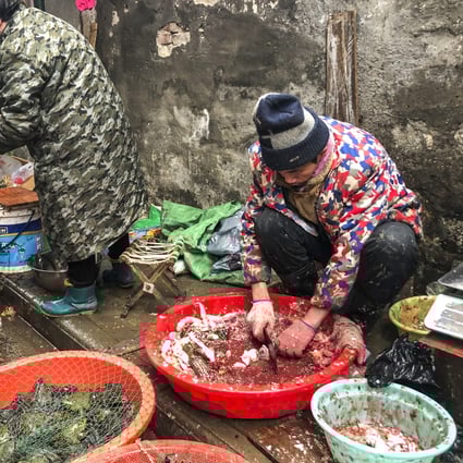 Data so far suggests that the coronavirus spread from animals to humans in a natural setting but where it happened is still a question. Photo: Simon Song