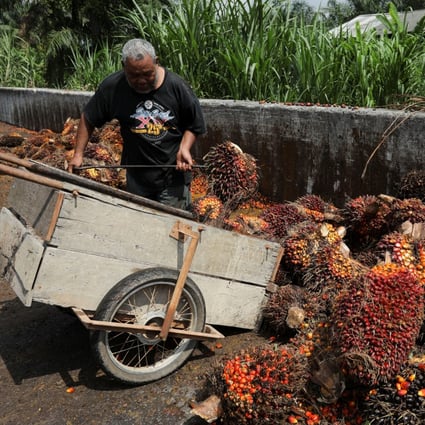 Malaysian companies from palm oil plantations to semiconductor makers are refusing orders and forgoing billions in sales, hampered by a shortage of more than a million workers that threatens the country’s economic recovery. Photo: Reuters