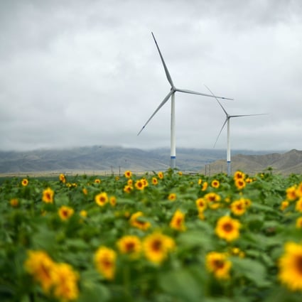 Wind turbines rise amid sunflowers in Jingtai county, in northwest China’s Gansu province, on August 13, 2019. Photo: Xinhua