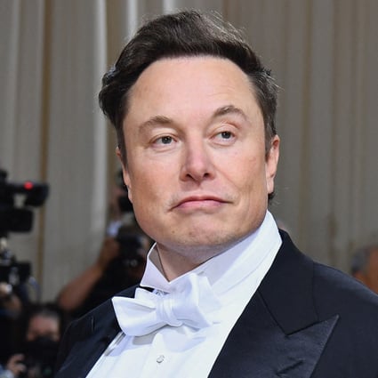 Elon Musk. File photo: TNS