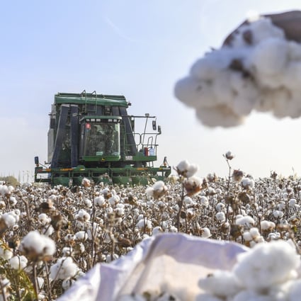 The US law effectively bans American imports of all products, including cotton, sourced from Xinjiang. Photo: Xinhua