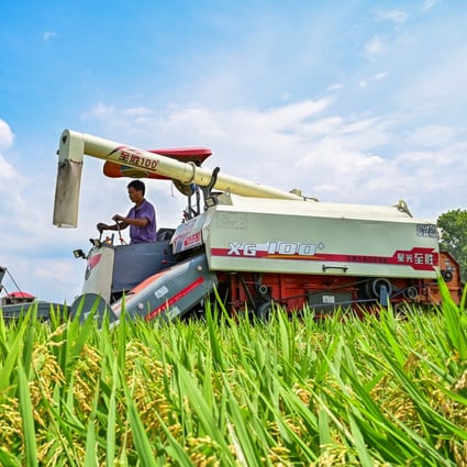China, the largest rice grower, has warned of a higher incidence of pests and diseases in its crop this year, with some provinces reporting an  almost 10 per cent increase in the area affected. Photo: Xinhua