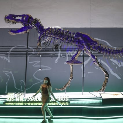 The Big Eight dinosaur exhibition warns about the impacts of climate change by displaying fossil specimens including a Tyrannosaurus rex and a Triceratops. Photo: Nora Tam