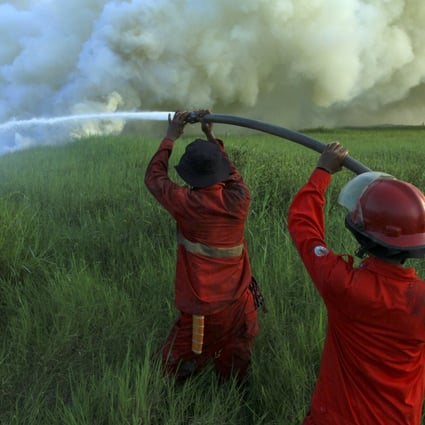 Firefighters work to extinguish a peatland fire in Indonesia’s South Sumatra province last month. Photo: Xinhua