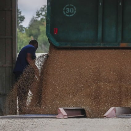 Wheat is unloaded from a truck on a farm in Ukraine’s Luhansk region, which Russia says it now fully controls. Photo: EPA-EFE