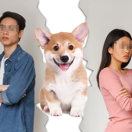 A couple fighting over ownership of a pet corgi end up agreeing to a joint custody arrangement in court. Photo: SCMP composite