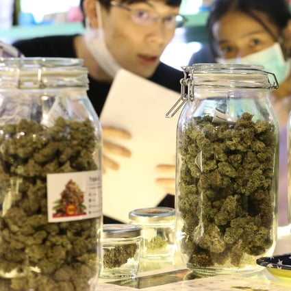 Thailand’s health minister said Malaysia is considering studying its laws to legalise cannabis for medical use as Kuala Lumpur plans to roll-out a similar measure. Photo: EPA-EFE/NARONG SANGNAK