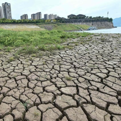 Parts of China are facing the worst drought in 60 years. Photo: AFP