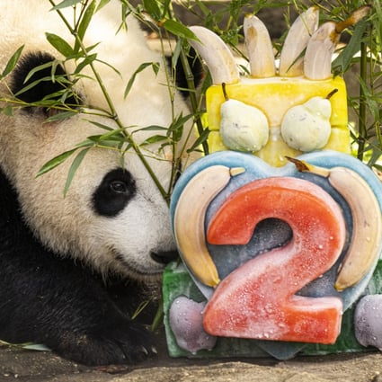 Panda diplomacy, 50 years on: the latest chapter for a safe space in US