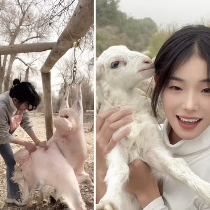 A shepherd in a remote part of China becomes a social media star after her videos about her life with her sheep go viral on mainland social media. Photo: SCMP composite