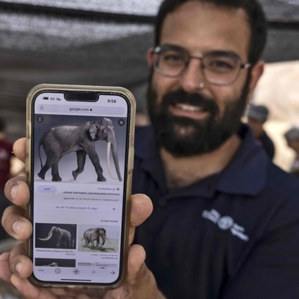 Avi Levy, an archaeologist from Israel Antiquities Authority, shows an image of an ancient straight-tusked elephant, at the site where a 2.5-meter-long tusk was discovered, near Kibbutz Revadim in southern Israel on Wednesday. Photo: AFP