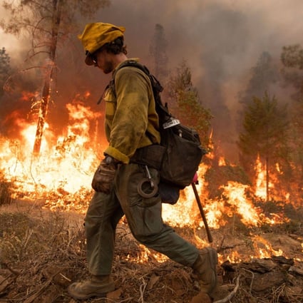 A firefighter uses a drip torch during the Mosquito fire near Volcanoville, California, US on Friday. Photo: Bloomberg