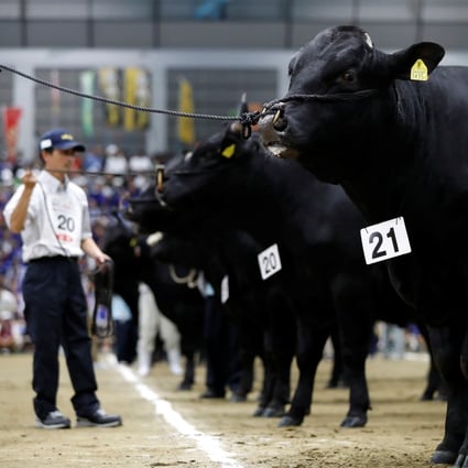 Cattle and breeders take part in the 2017 Wagyu Olympics in the Japanese city of Sendai. Wagyu is regarded as the best beef in the world, but what makes it so special? Photo: Reuters