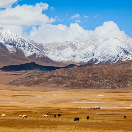 The Qinghai-Tibet Plateau in China. Photo: Shutterstock/File