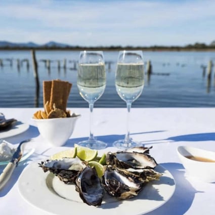 Oysters served at the Freycinet Marine Farm in Tasmania’s Freycinet National Park. Travel is all about experiencing a place’s culinary culture and ingredients.  Photo: Saffire Resort