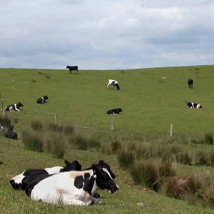 About half of New Zealand’s greenhouse gas emissions come from farms. File photo: AFP