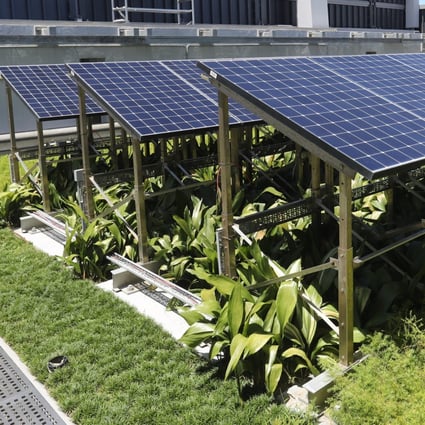 A combined green roof and solar photovoltaic system at One Taikoo Place in Quarry Bay on July 15, 2021. Green roofs and other green building techniques can help cool buildings and reduce use of air conditioning units, which in turn improves the environment and helps the fight against climate change. Photo: Edmond So