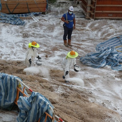 Workers sprayed disinfectant at a construction site in Pak Tin Estate, Sham Shui Po, after four soil samples tested positive for the bacterium that causes melioidosis. Photo: Yik Yeung-man