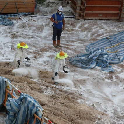 Workers spray disinfectant at a redevelopment site in Pak Tin Estate, Sham Shui Po, where four soil samples tested positive for melioidosis. Photo: Yik Yeung-man
