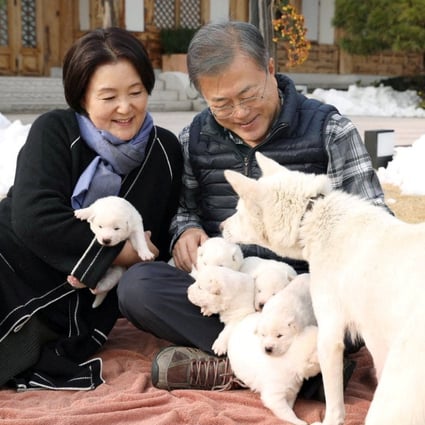 South Korea’s Moon Jaein to give up dogs gifted by Kim Jongun in