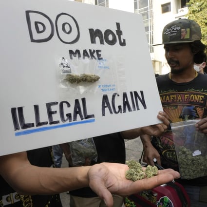 Demonstrators hold pieces of cannabis outside the Government House in Bangkok, Thailand on Tuesday supporting the decriminalisation of cannabis. Photo: AP
