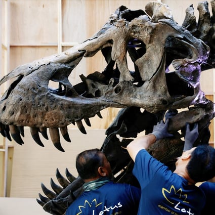 Dug up in the US state of Montana, the skeleton named “Shen” was expected to sell for as much as HK$200 million (US$25.6 million). Photo: Reuters
