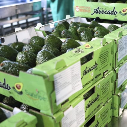 Fresh avocados from Kenya wait to be transported to the Chinese market. Photo: Xinhua
