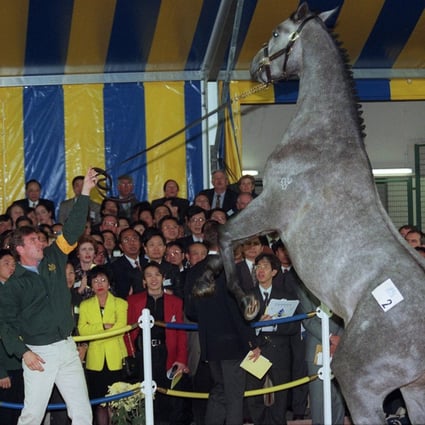 The Jockey Club oversaw Hong Kong’s first auction of thoroughbred horses in 1995. Photo: SCMP