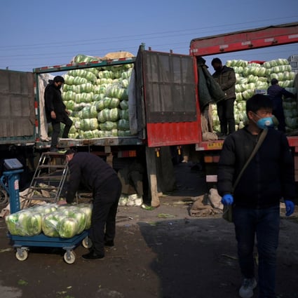 People move cabbages at a wholesale market for agricultural products in Beijing on February 19, 2020. Photo: Reuters