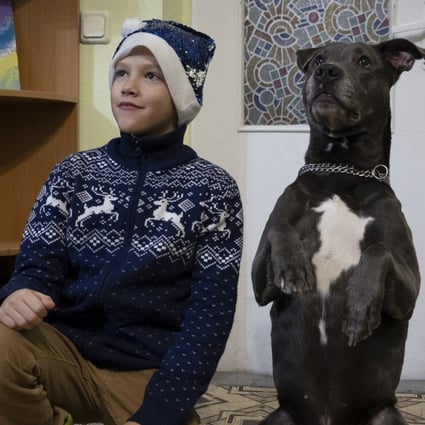 A Ukrainian boy poses for a photo with an American dog called Bice in the Centre for Social and Psychological Rehabilitation near Kyiv. The animal’s job is to help comfort children traumatised by the war. Photo: AP