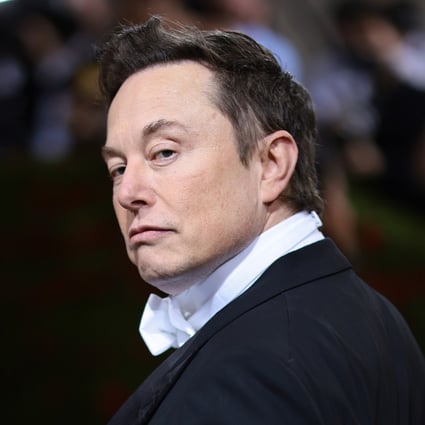 Elon Musk. File photo: TNS
