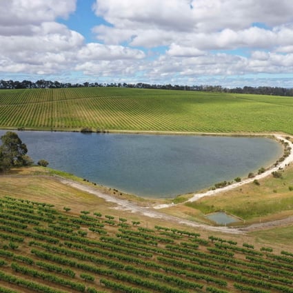 An undated view of the Edinger Estate vineyard in Western Australia. Photo: Handout
